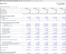 Detailed Financial Data