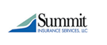 Summit Services Group Inc 100