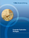 Corporate Exploration Strategies